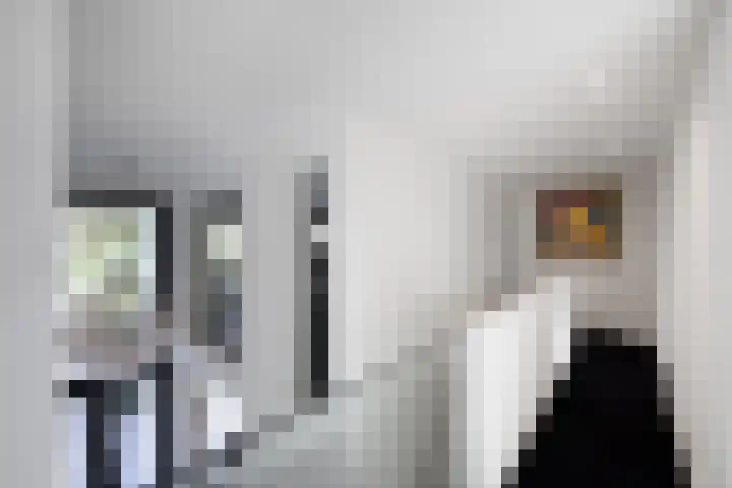 Hertog Albrechtlaan 37 Den Haag thumbnail 28