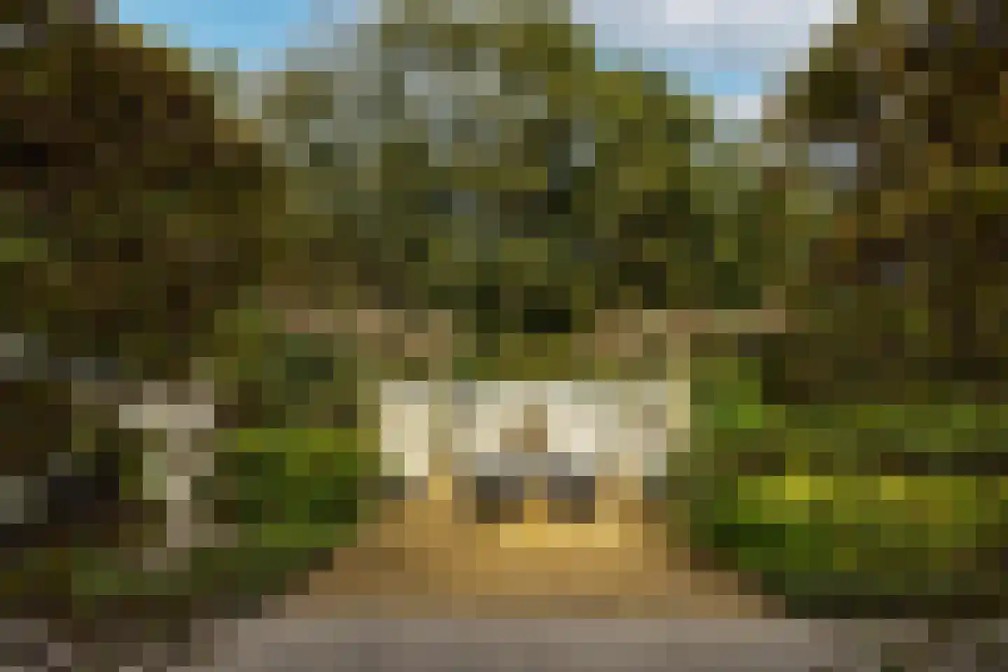 Hertog Albrechtlaan 37 Den Haag thumbnail 47