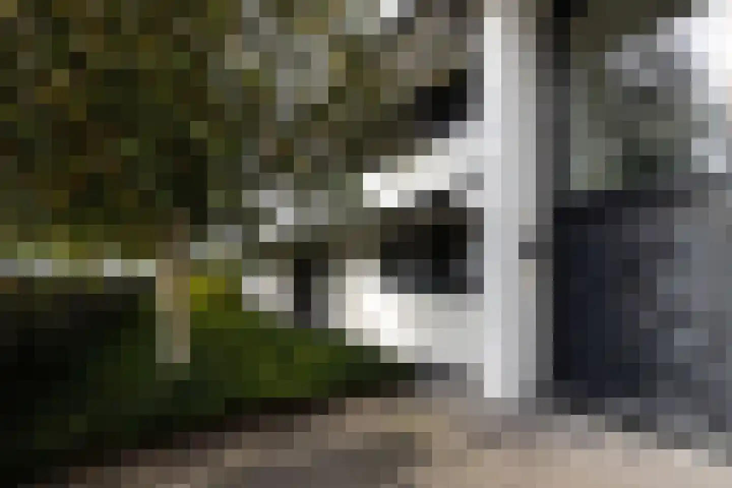 Hertog Albrechtlaan 37 Den Haag thumbnail 5