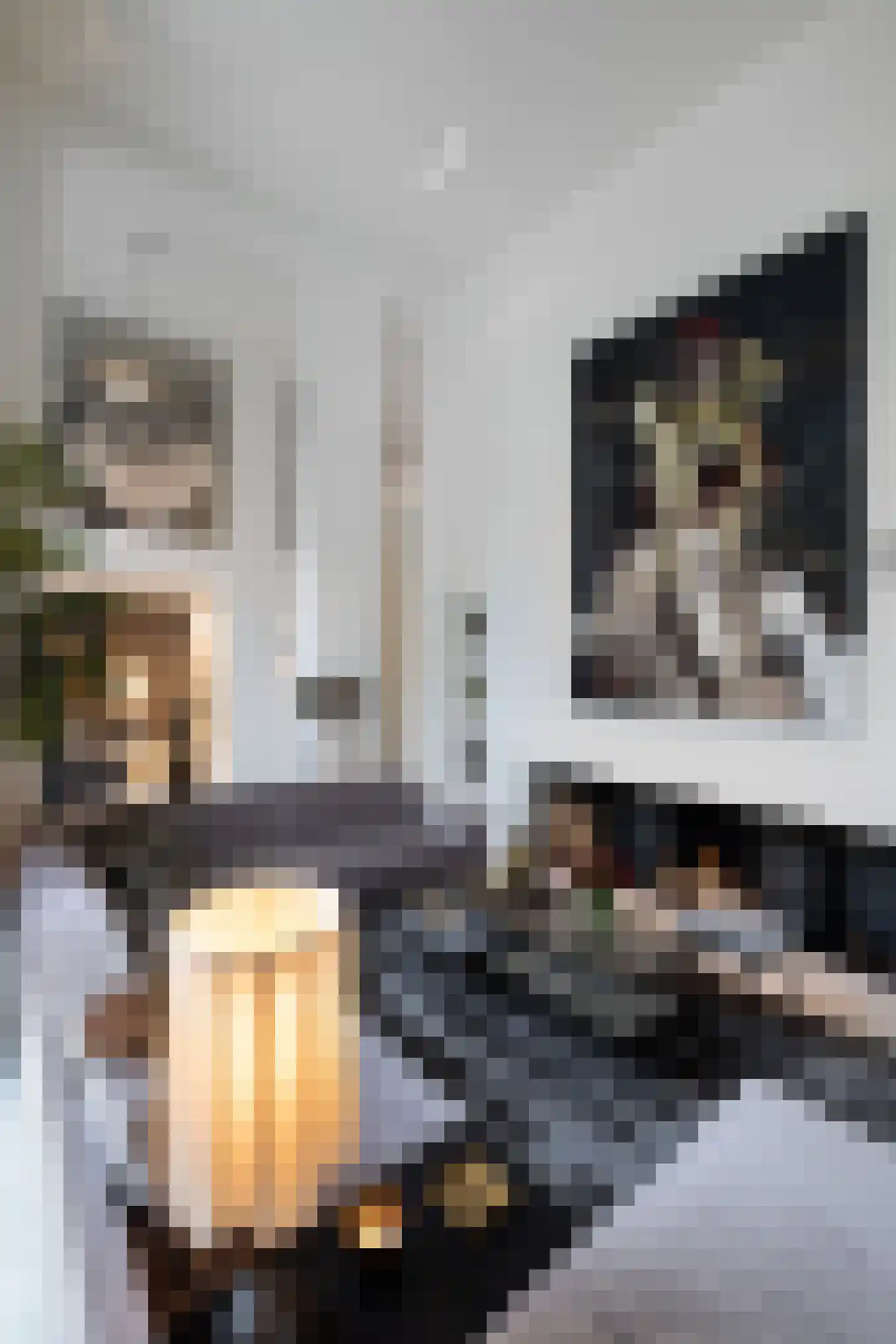 Hertog Albrechtlaan 37 Den Haag thumbnail 9