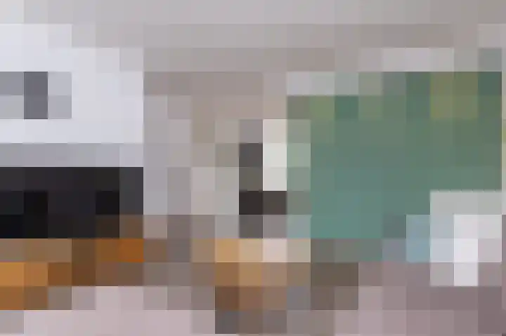 Hertog Albrechtstraat 10 Bovenkarspel thumbnail 12