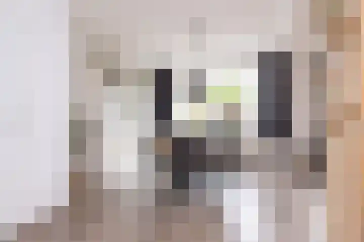 Hertog Albrechtstraat 10 Bovenkarspel thumbnail 14