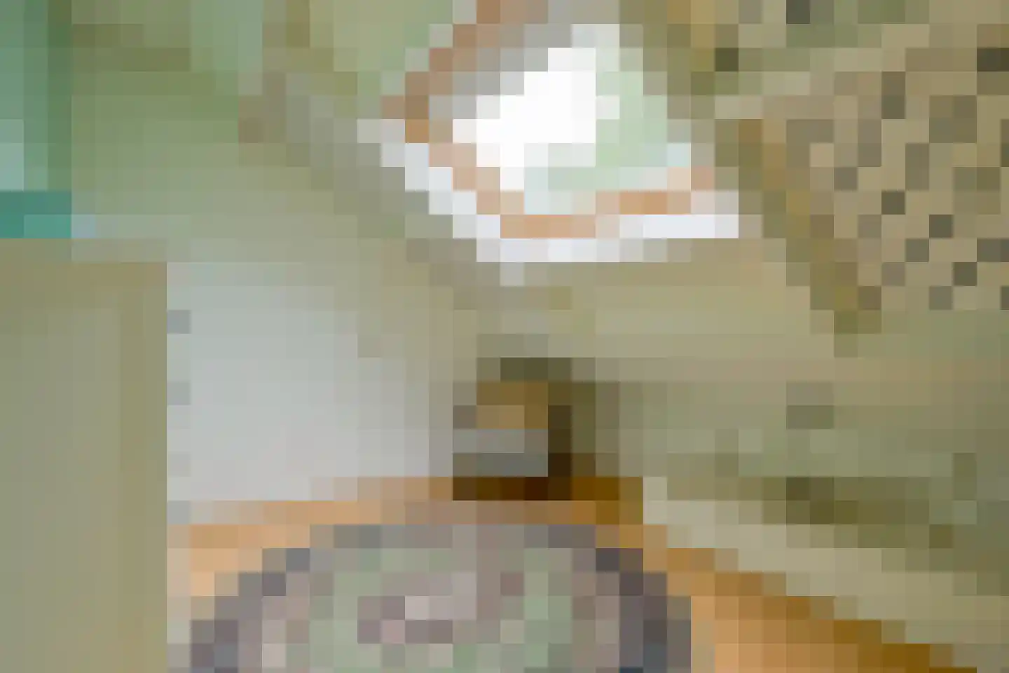 Hertog Albrechtstraat 11 Bovenkarspel thumbnail 19