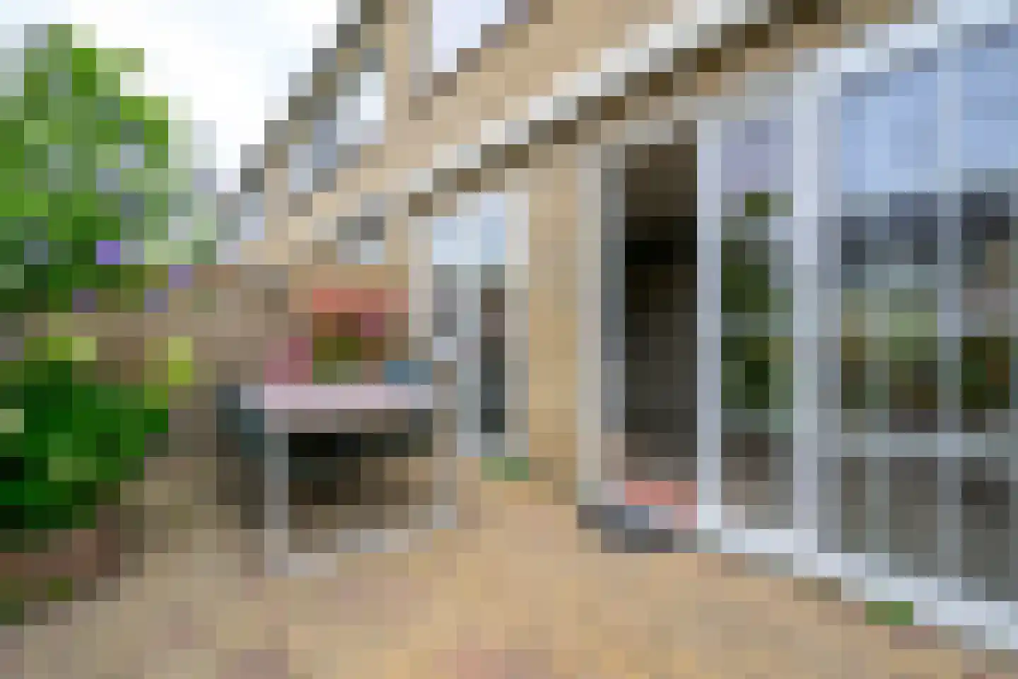 Hertog Albrechtstraat 11 Bovenkarspel thumbnail 23