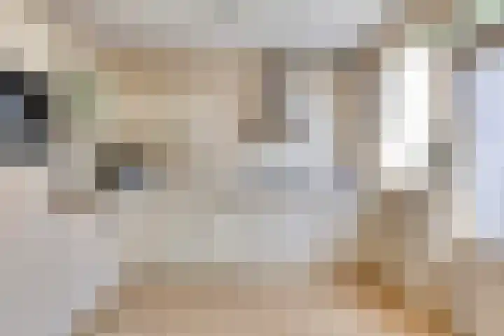 Hertog Albrechtstraat 119 Bovenkarspel thumbnail 11