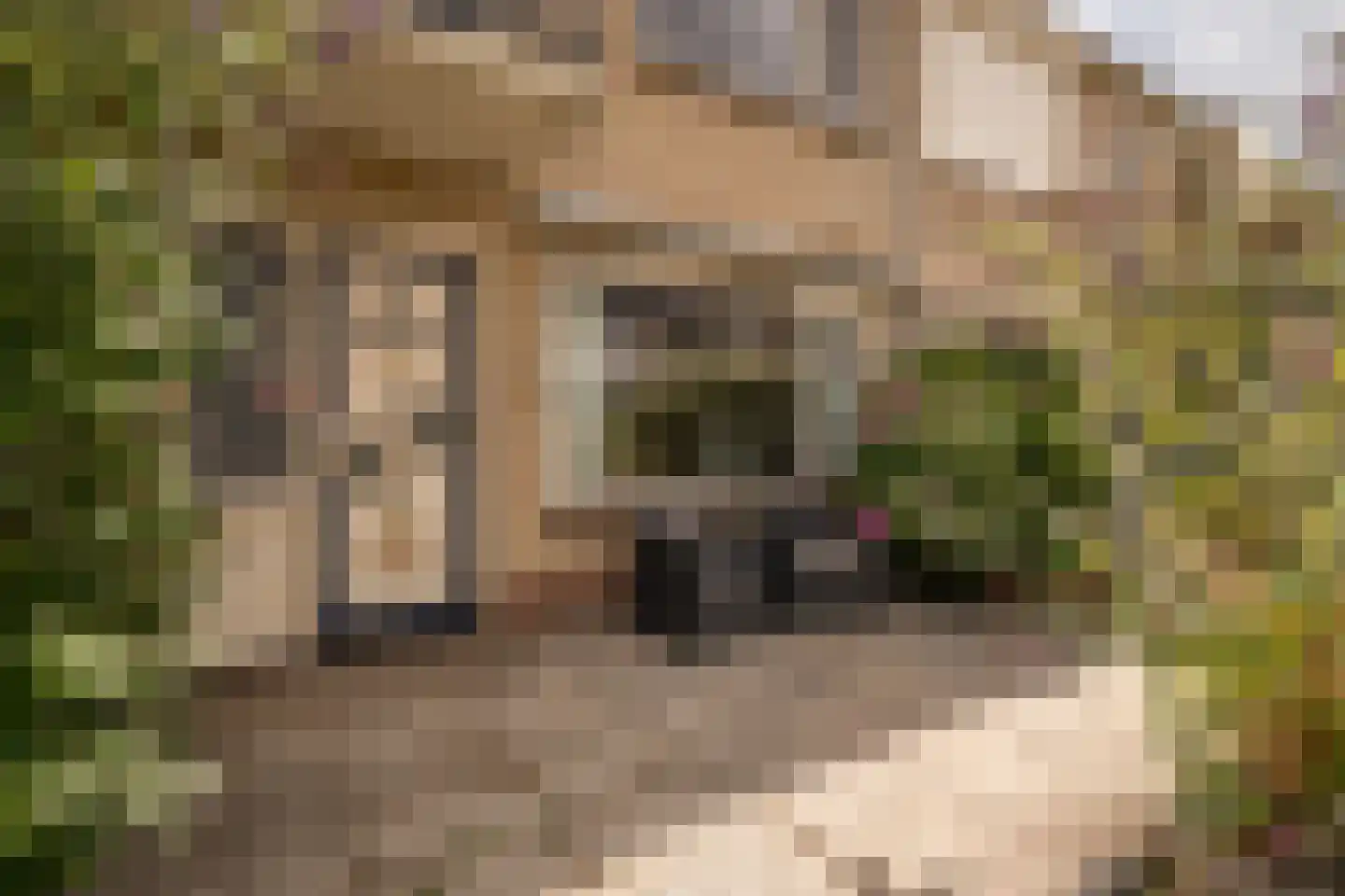 Hertog Albrechtstraat 190 Bovenkarspel thumbnail 32