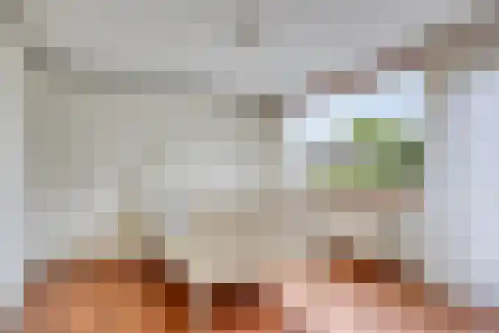 Hertog Albrechtstraat 22 Bovenkarspel thumbnail 15