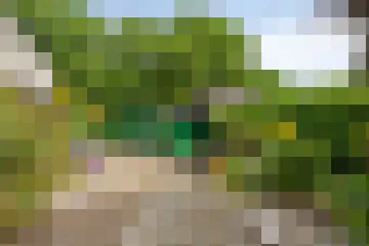 Hertog Albrechtstraat 22 Bovenkarspel thumbnail 23