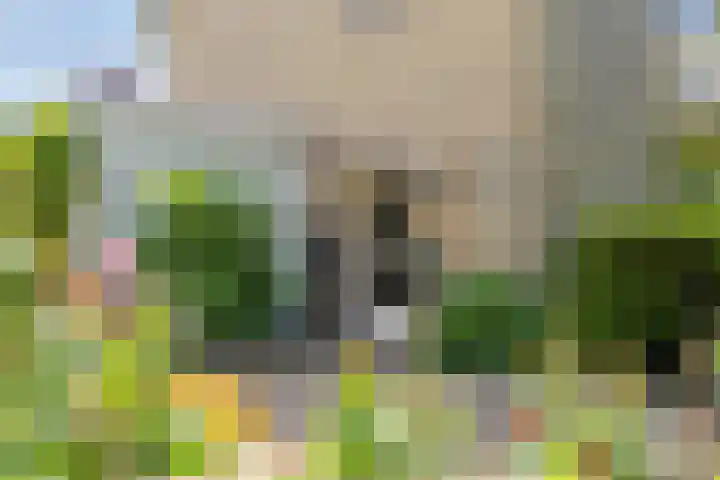 Hertog Albrechtstraat 22 Bovenkarspel thumbnail 30