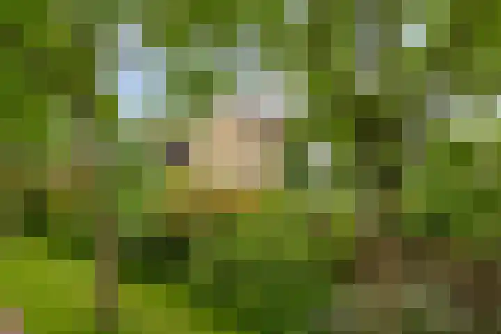 Hertog Albrechtstraat 22 Bovenkarspel thumbnail 31