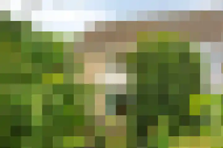 Hertog Albrechtstraat 22 Bovenkarspel thumbnail 32