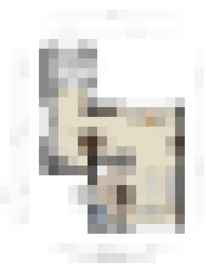 Hertog Albrechtstraat 22 Bovenkarspel thumbnail 35