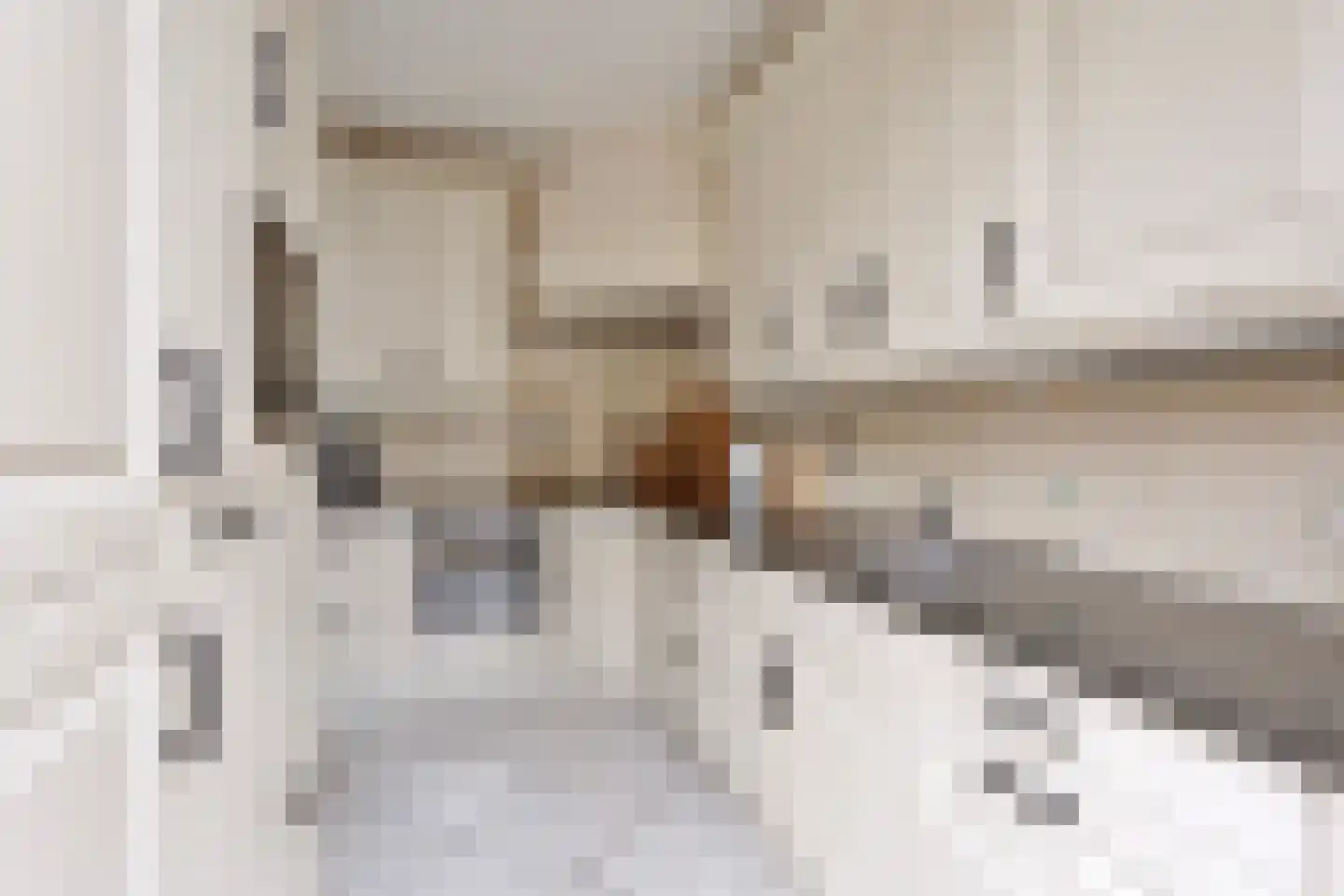 Hertog Albrechtstraat 222 Grootebroek thumbnail 11