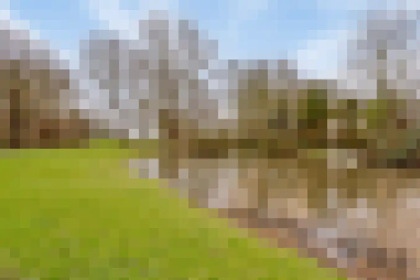 Hertog Albrechtstraat 222 Grootebroek thumbnail 29