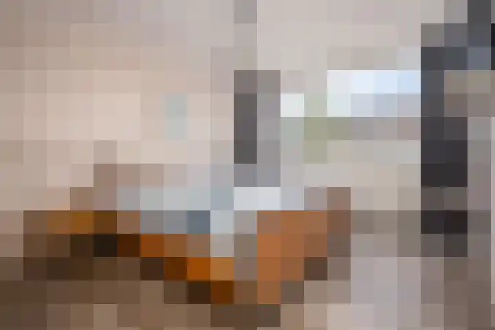 Hertog Albrechtstraat 225 Bovenkarspel thumbnail 16