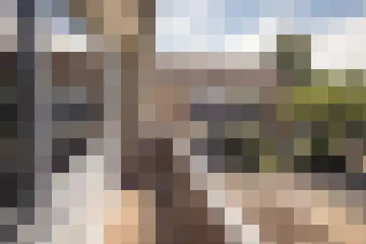 Hertog Albrechtstraat 225 Bovenkarspel thumbnail 21