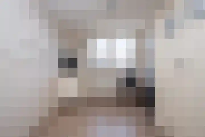 Hertog Albrechtstraat 225 Bovenkarspel thumbnail 25