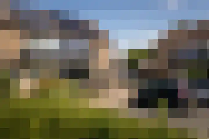 Hertog Albrechtstraat 225 Bovenkarspel thumbnail 36