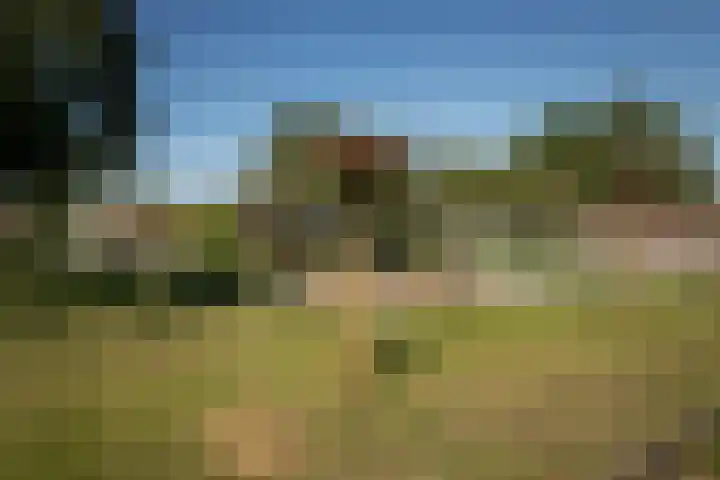 Hertog Albrechtstraat 225 Bovenkarspel thumbnail 39