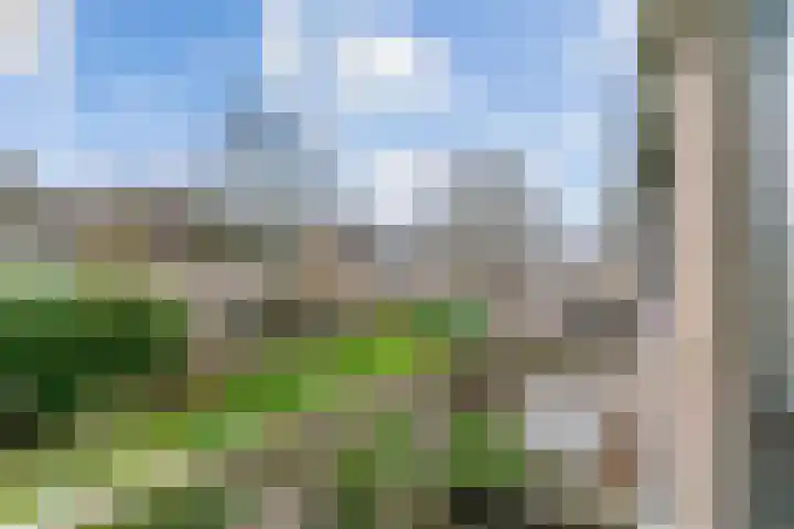 Hertog Albrechtstraat 232 Grootebroek thumbnail 31