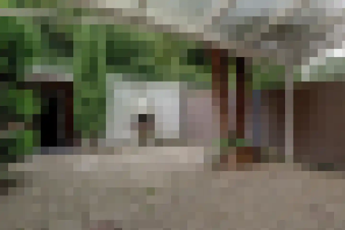 Hertog Albrechtstraat 238 Grootebroek thumbnail 23