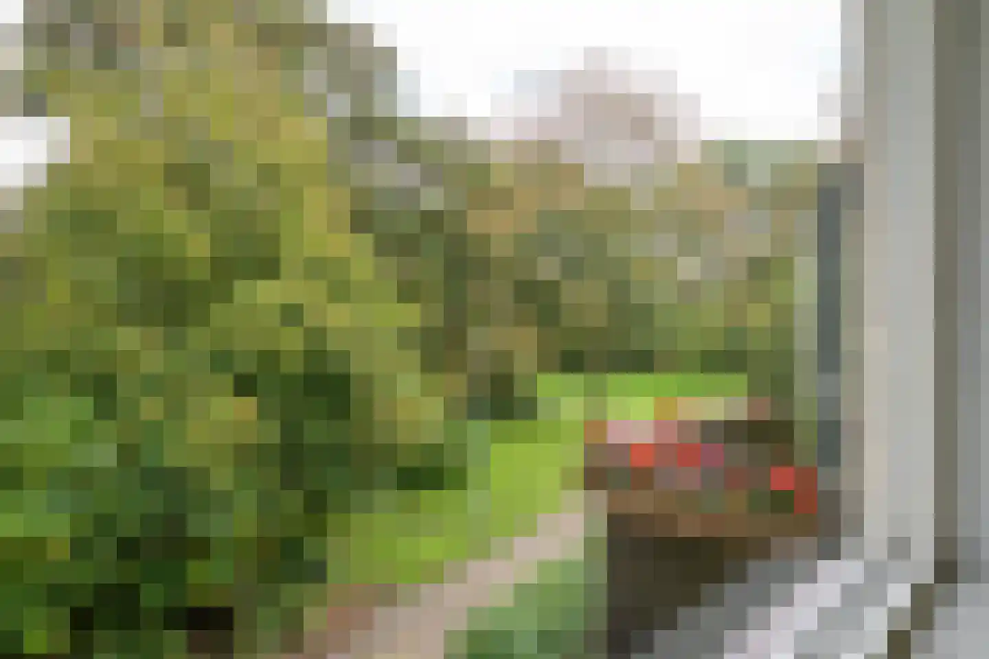 Hertog Albrechtstraat 238 Grootebroek thumbnail 36