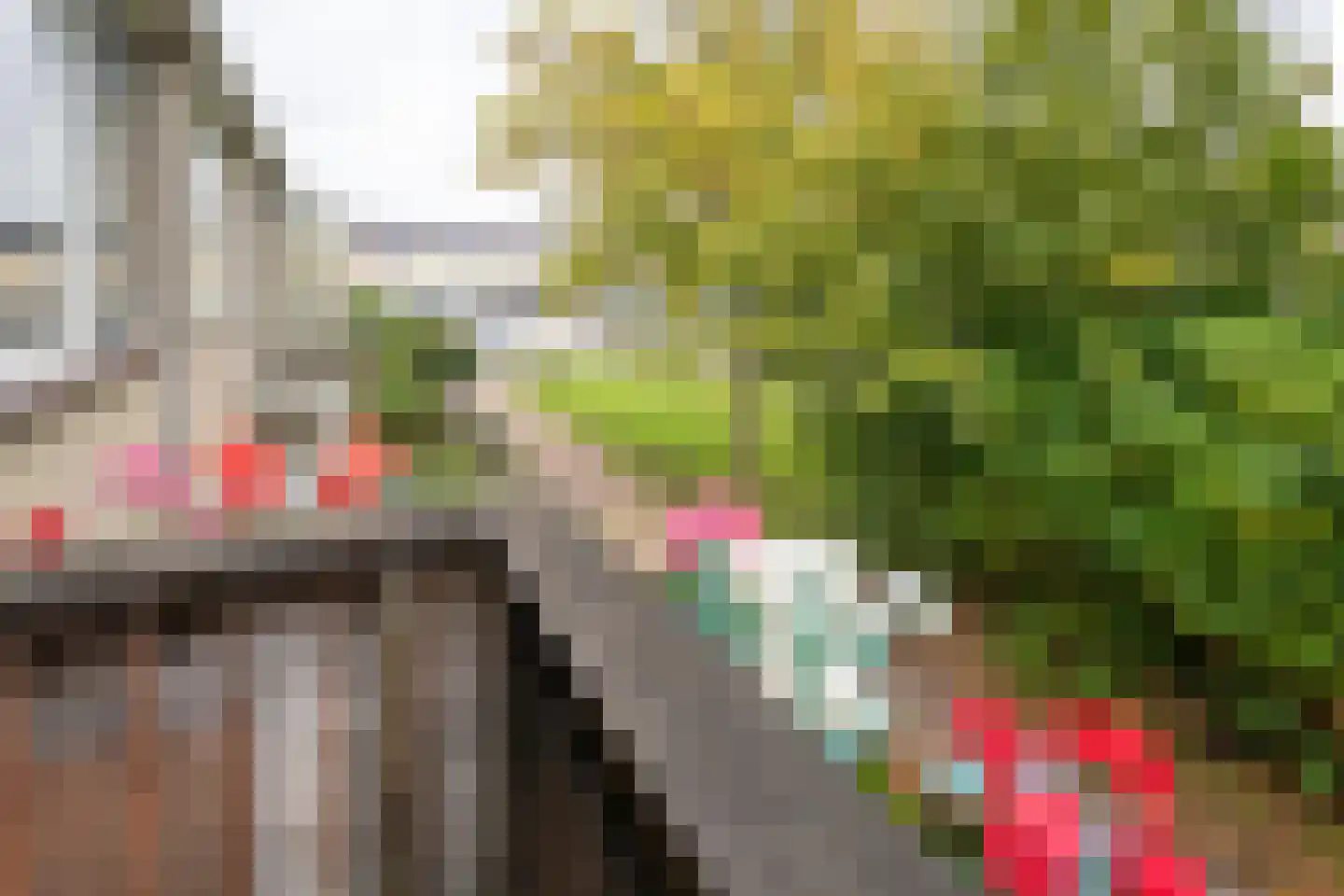 Hertog Albrechtstraat 238 Grootebroek thumbnail 40
