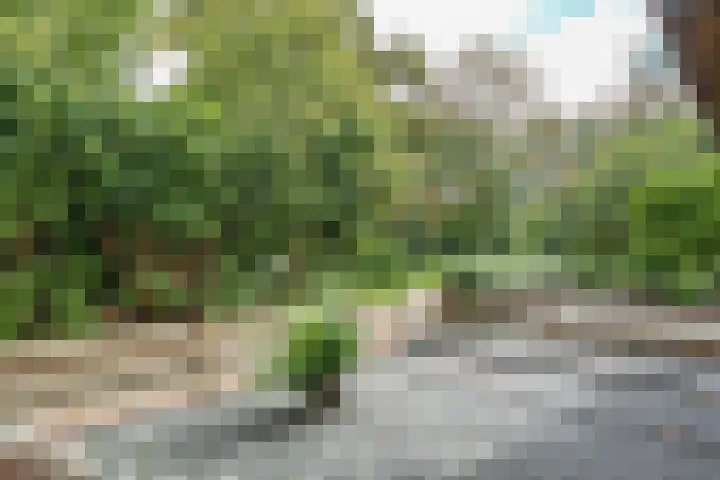 Hertog Albrechtstraat 238 Grootebroek thumbnail 6