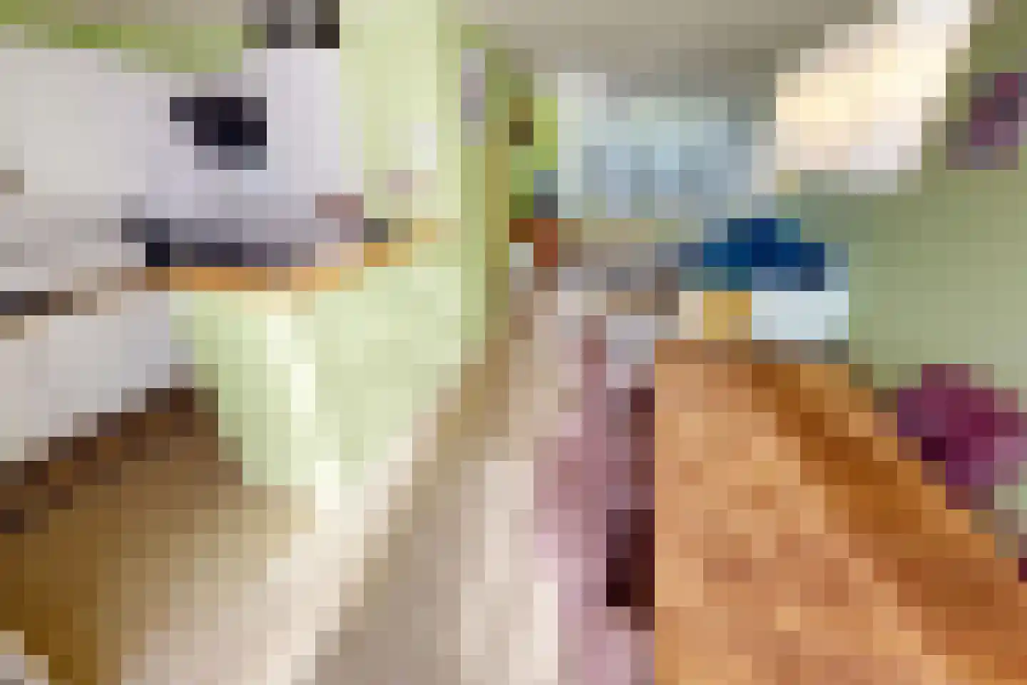 Hertog Albrechtstraat 24 Bovenkarspel thumbnail 20