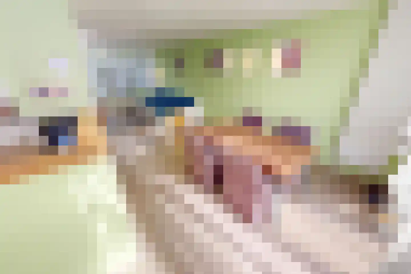 Hertog Albrechtstraat 24 Bovenkarspel thumbnail 21