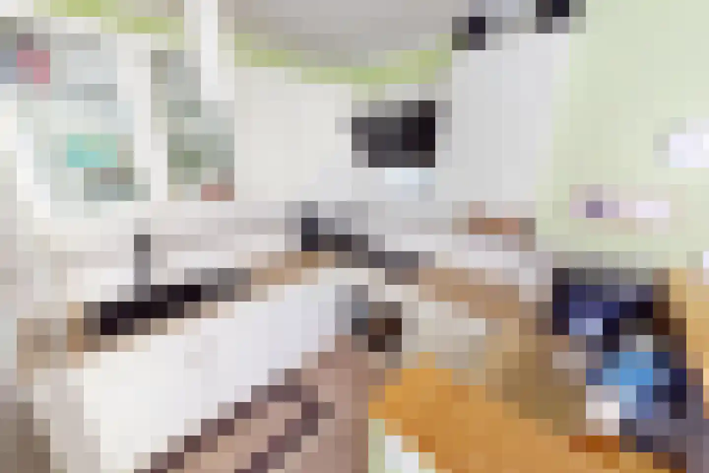 Hertog Albrechtstraat 24 Bovenkarspel thumbnail 22