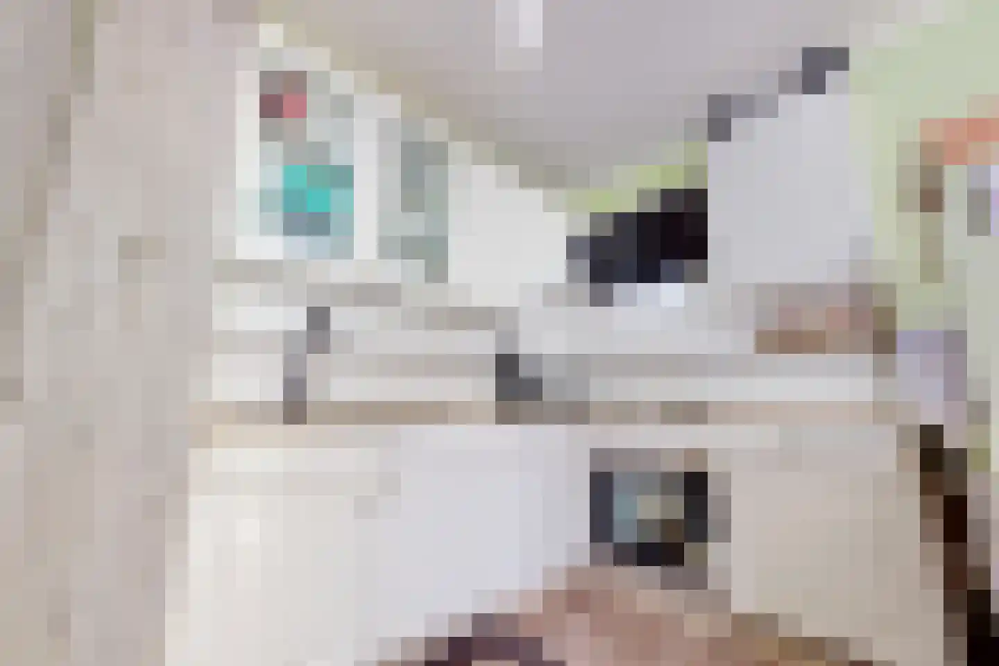Hertog Albrechtstraat 24 Bovenkarspel thumbnail 23