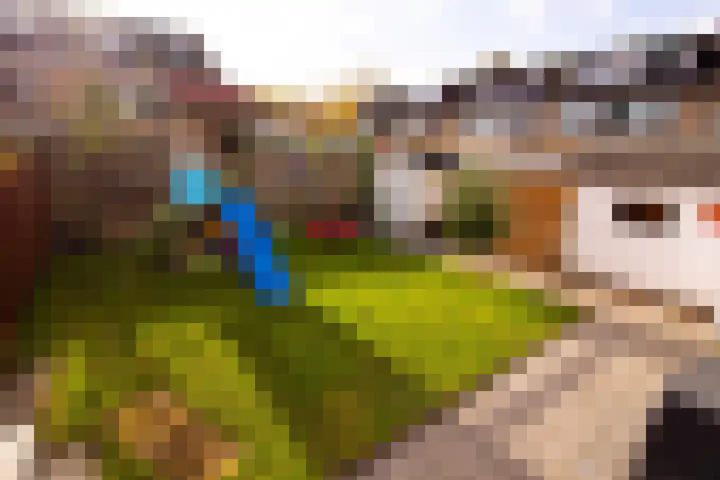 Hertog Albrechtstraat 24 Bovenkarspel thumbnail 49