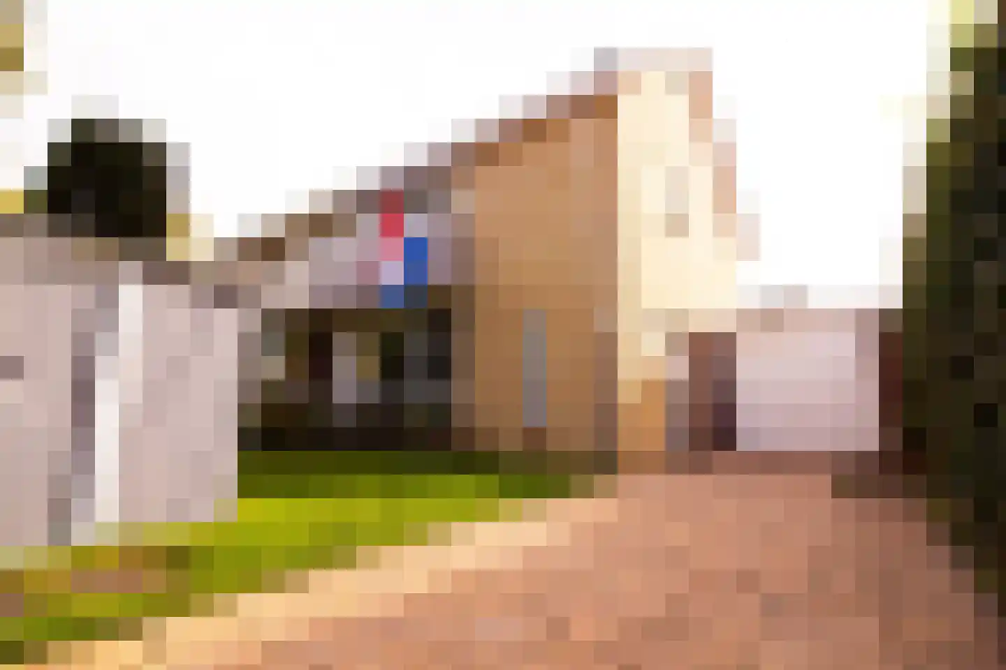 Hertog Albrechtstraat 24 Bovenkarspel thumbnail 5
