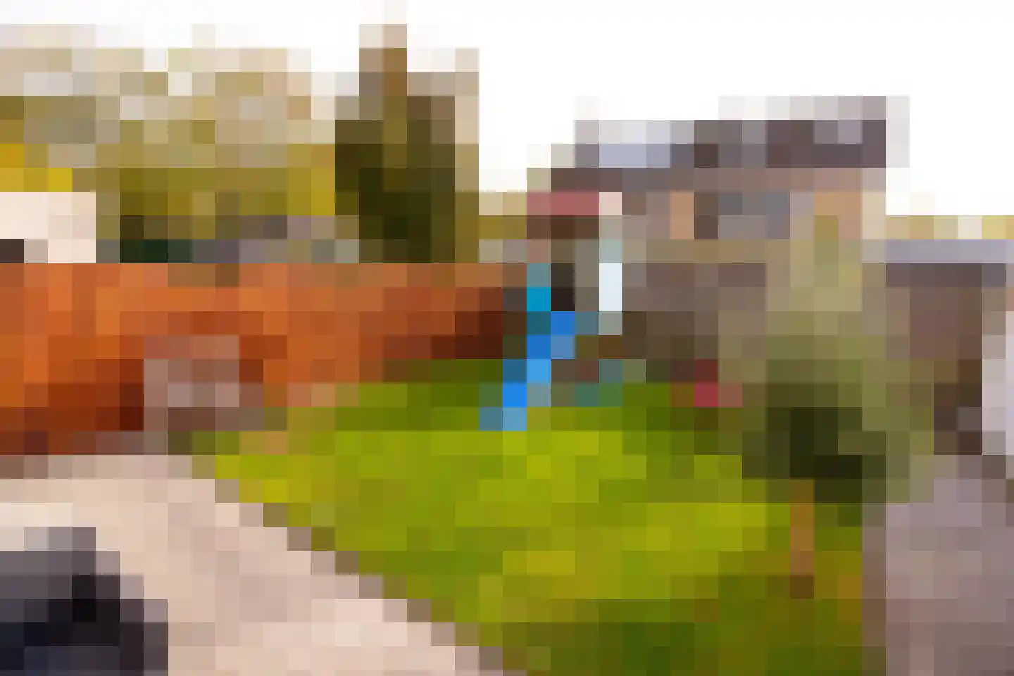 Hertog Albrechtstraat 24 Bovenkarspel thumbnail 51