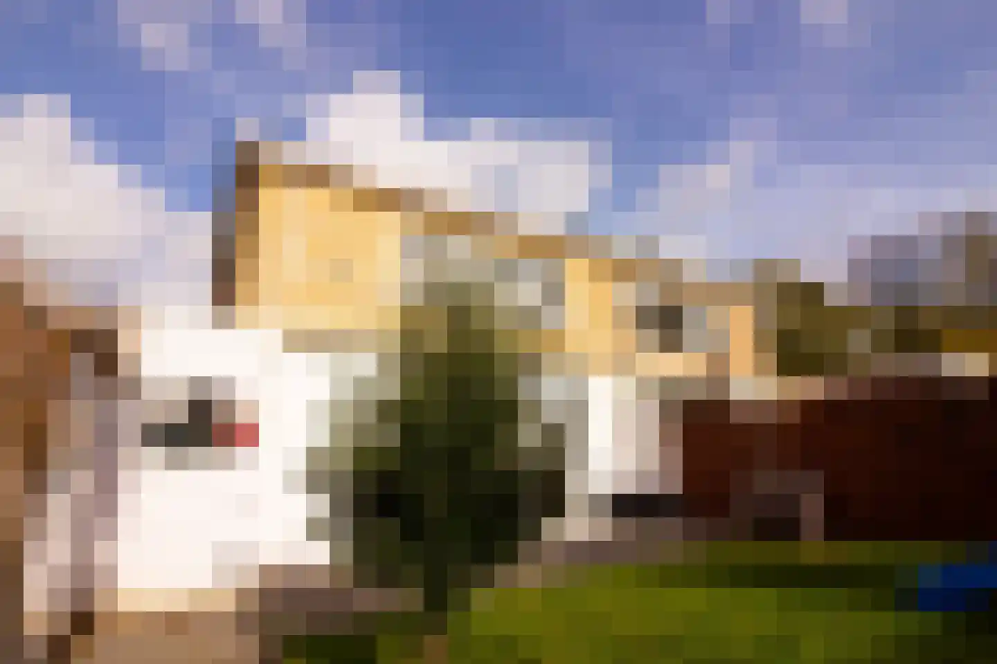 Hertog Albrechtstraat 24 Bovenkarspel thumbnail 54