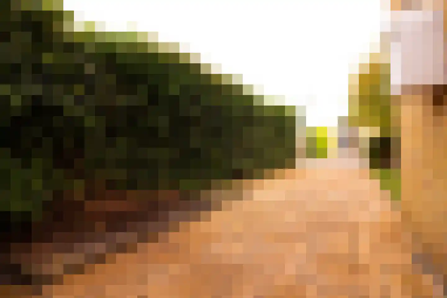 Hertog Albrechtstraat 24 Bovenkarspel thumbnail 6