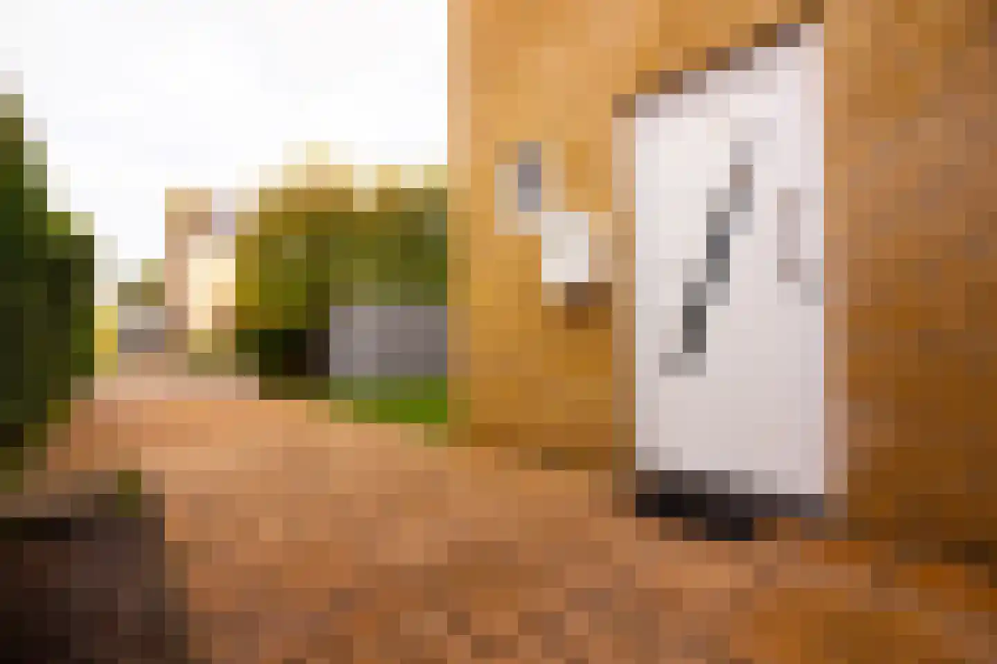 Hertog Albrechtstraat 24 Bovenkarspel thumbnail 8
