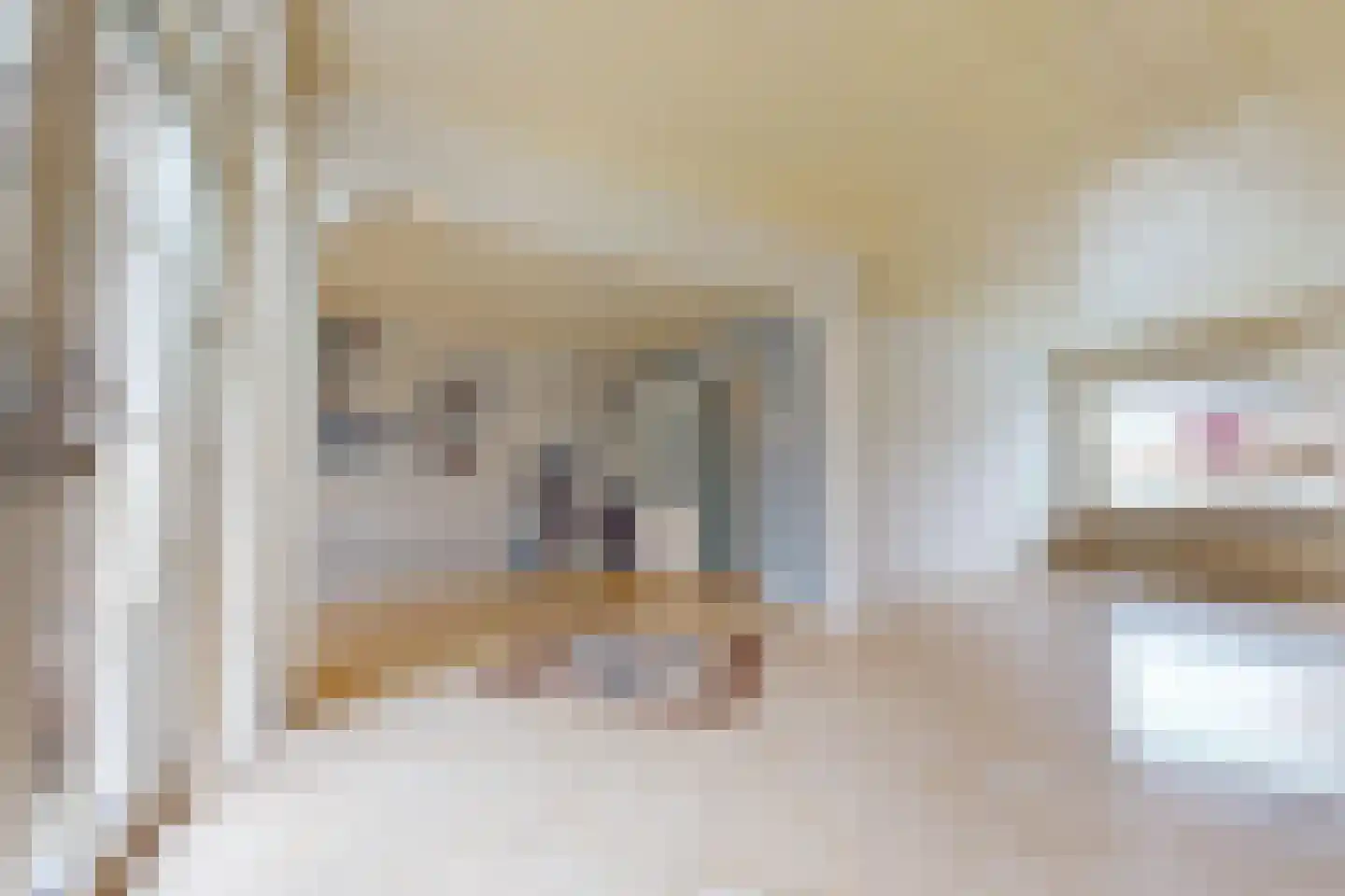 Hertog Albrechtstraat 384 Grootebroek thumbnail 12