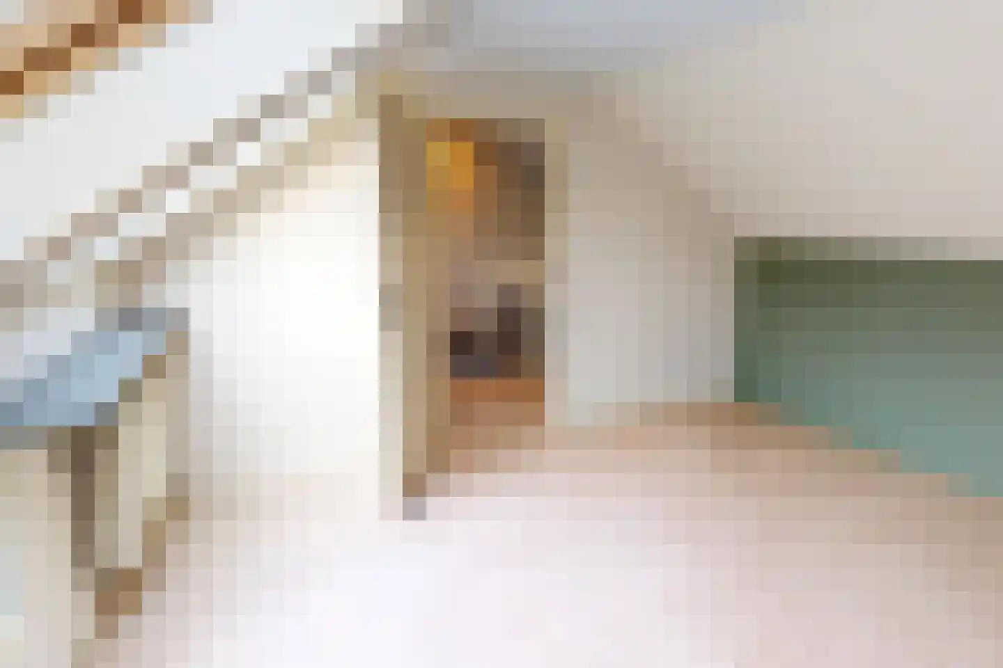 Hertog Albrechtstraat 384 Grootebroek thumbnail 43