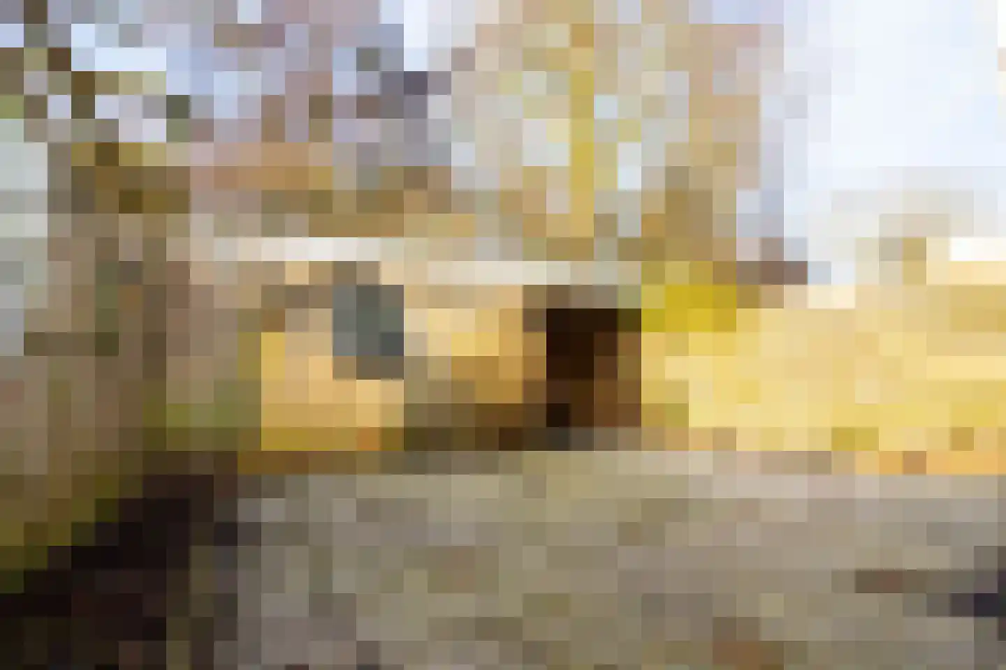 Hertog Albrechtstraat 384 Grootebroek thumbnail 49