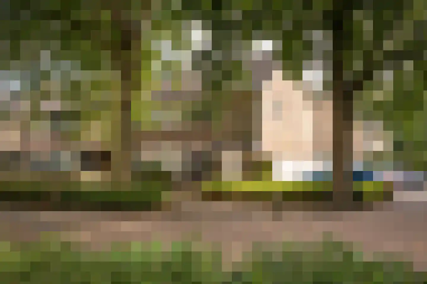 Hertog Albrechtstraat 60 Bovenkarspel thumbnail 35
