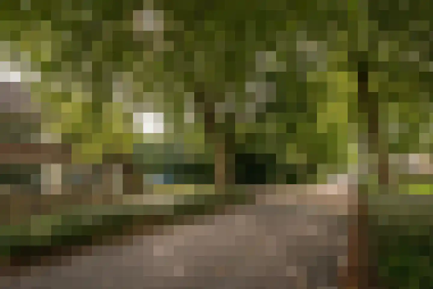 Hertog Albrechtstraat 60 Bovenkarspel thumbnail 36