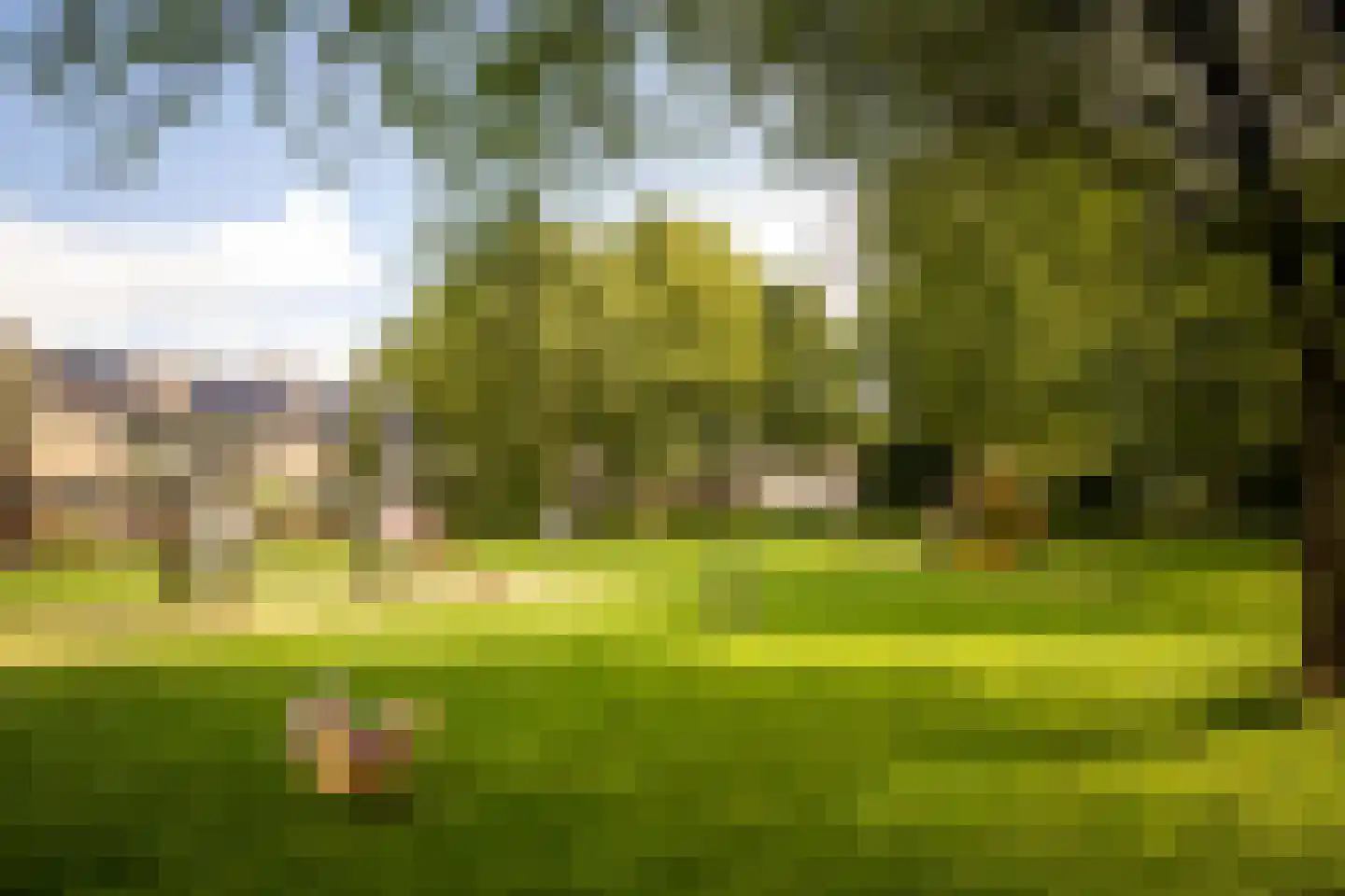 Hertog Albrechtstraat 60 Bovenkarspel thumbnail 38