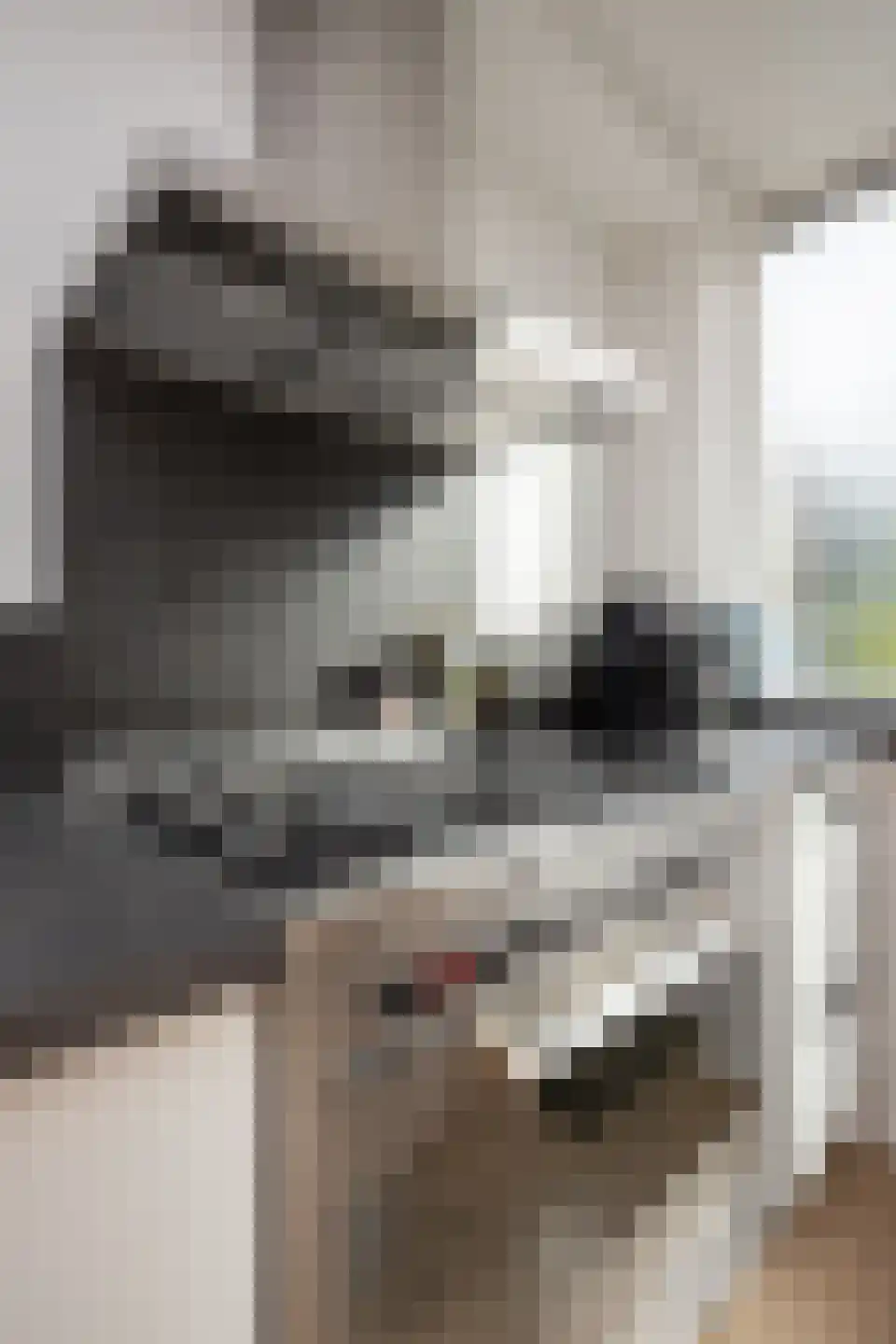 Hertog Albrechtstraat 60 Bovenkarspel thumbnail 51