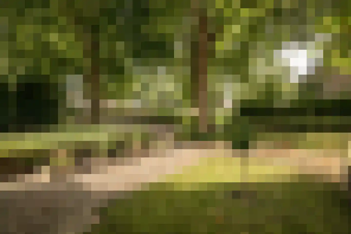 Hertog Albrechtstraat 60 Bovenkarspel thumbnail 7