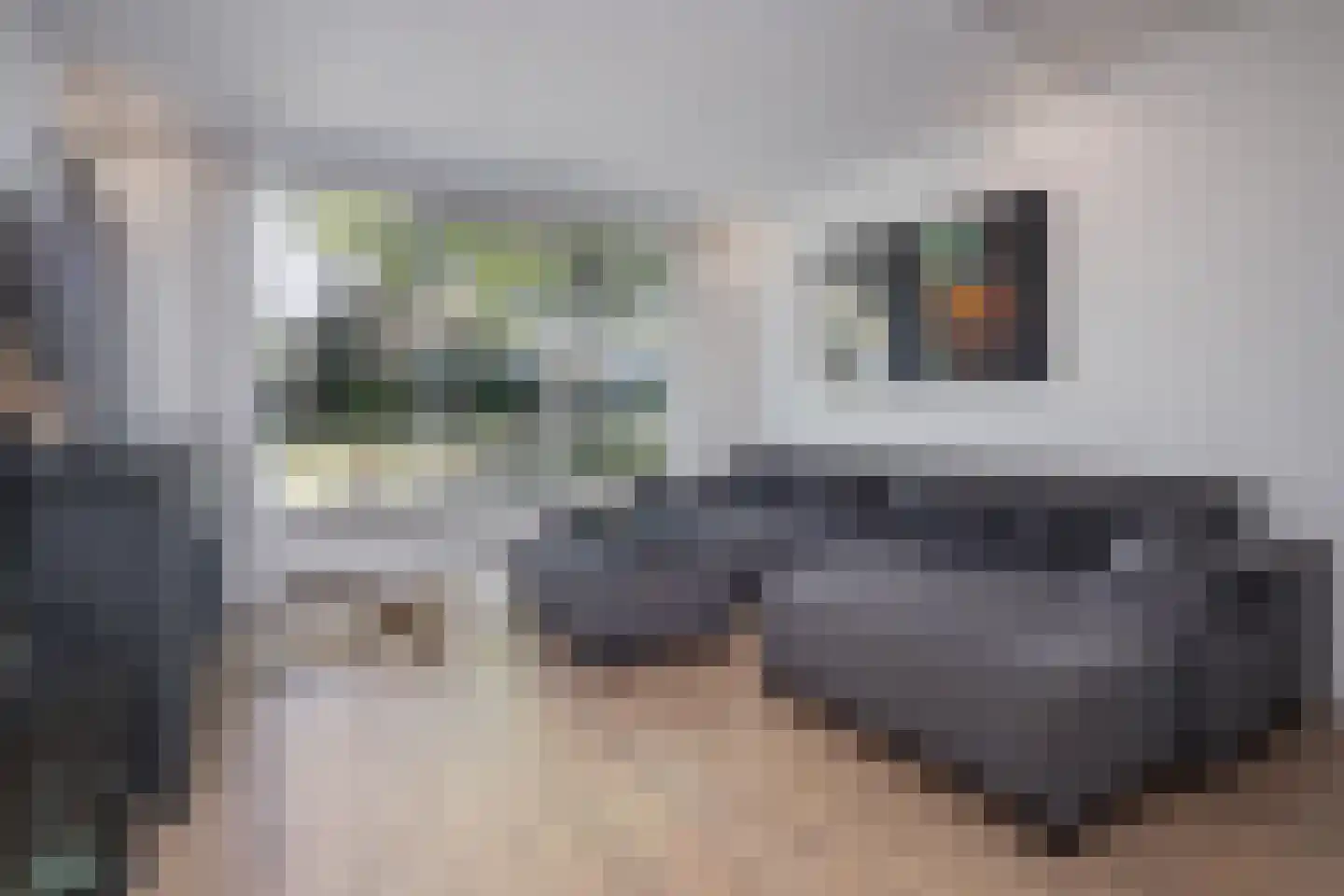Hertog Albrechtstraat 60 Bovenkarspel thumbnail 9