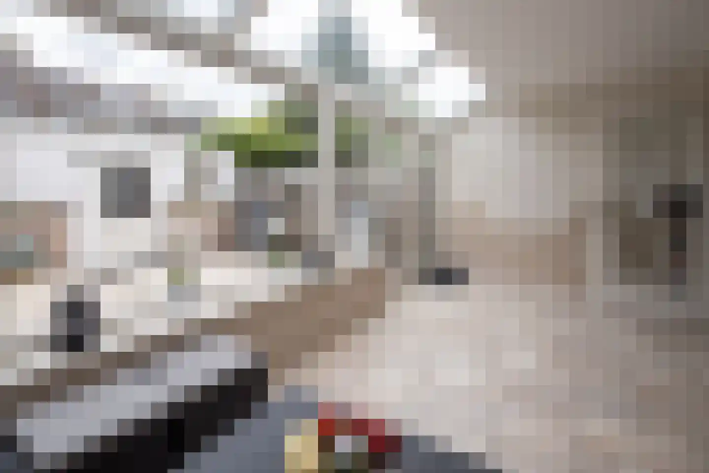 Hertog Albrechtstraat 63 Bovenkarspel thumbnail 13