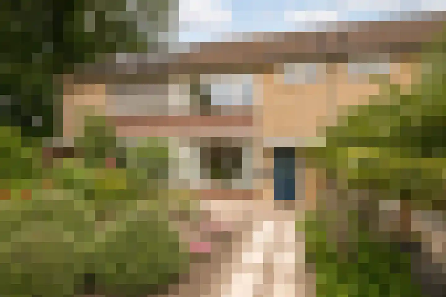 Hertog Albrechtstraat 63 Bovenkarspel thumbnail 30