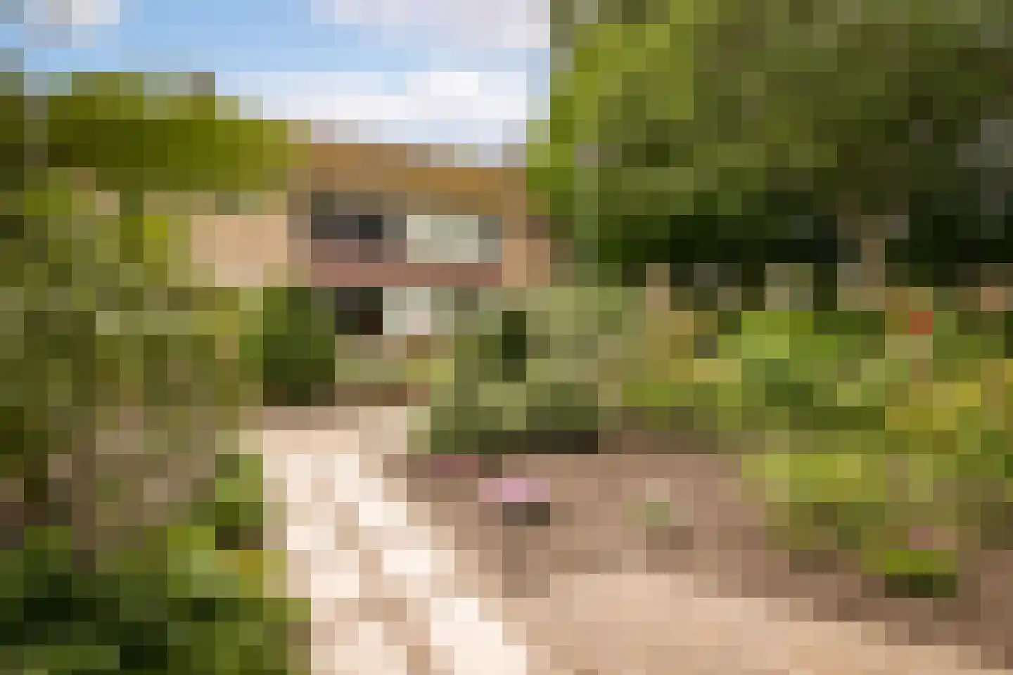 Hertog Albrechtstraat 63 Bovenkarspel thumbnail 32